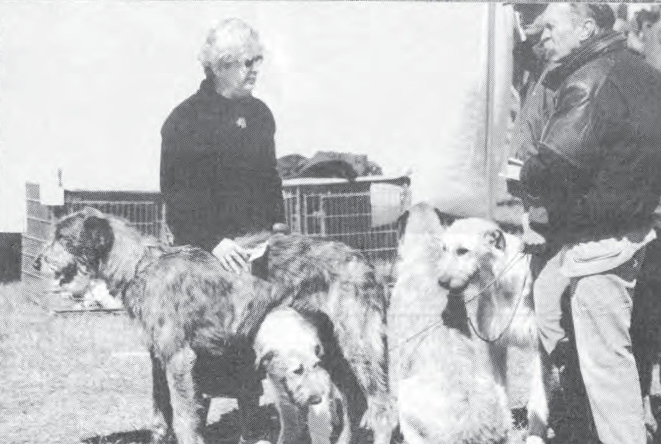 Old Dominion Kennel Club of Northern Virginia, 1997